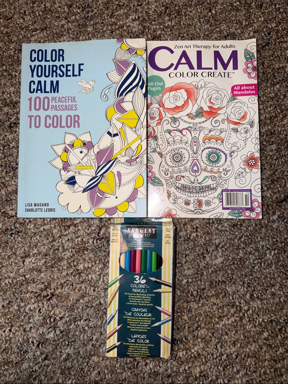 Adult Coloring & Art Therapy Gift Set – 2 Books + 36 Colored Pencils ✏️ 🎨